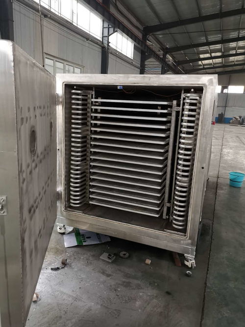 諸城市展鴻機械科技 果蔬烘干機助力農(nóng)產(chǎn)品加工業(yè)提質增效